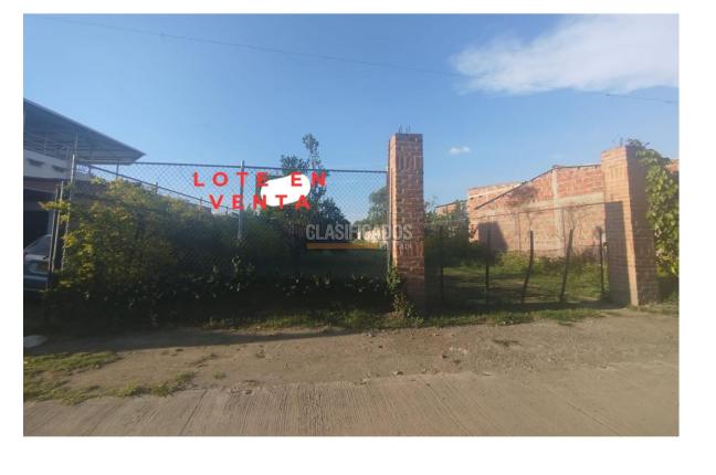 Lotes, Venta, Palmira - $280.000.000