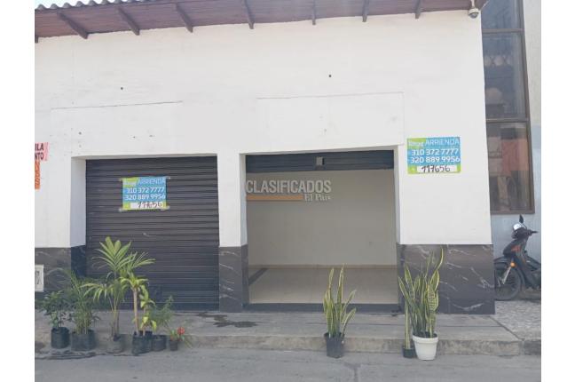 Locales y Bodegas, Alquiler en Palmira