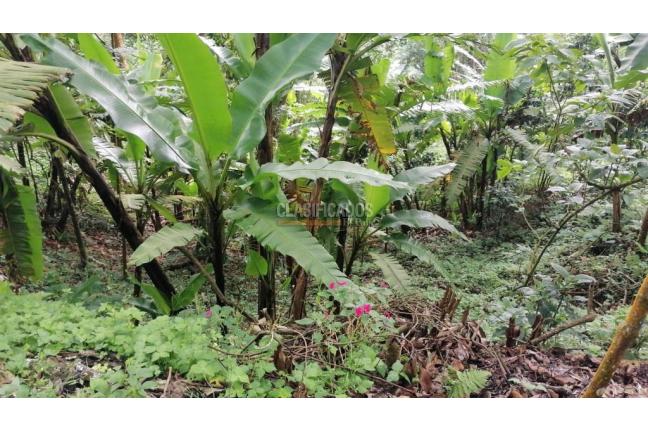 Lotes, Venta, Yumbo - $430.000.000
