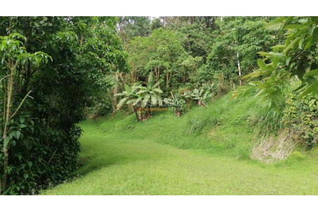 Lotes, Venta, Yumbo - $430.000.000