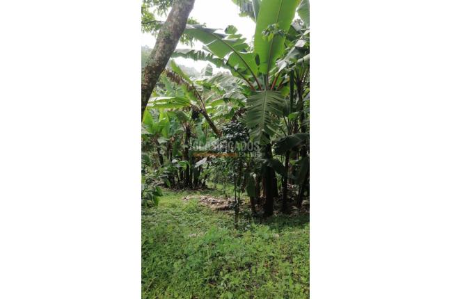 Lotes, Venta, Yumbo - $430.000.000