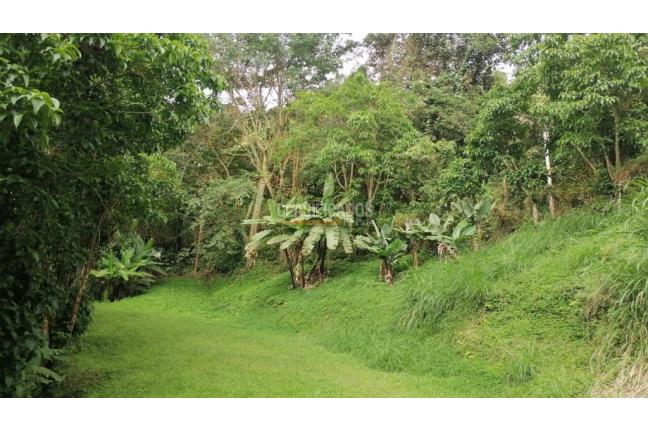 Lotes, Venta, Yumbo - $430.000.000