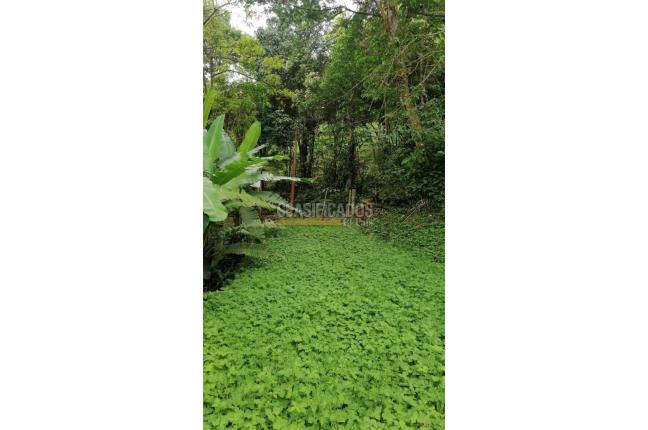 Lotes, Venta, Yumbo - $430.000.000