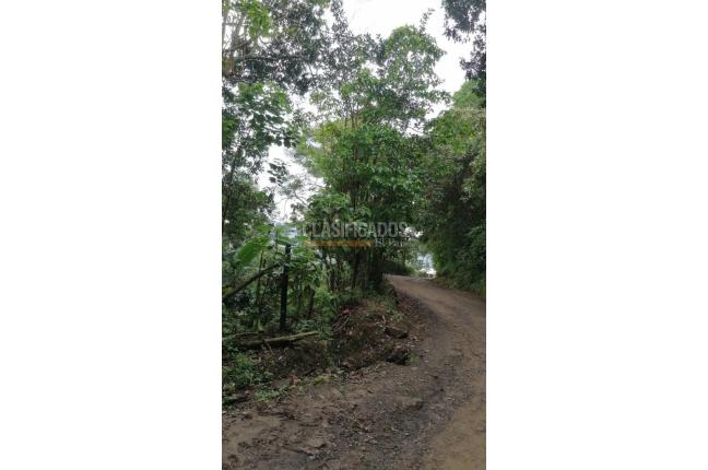 Lotes, Venta, Yumbo - $430.000.000