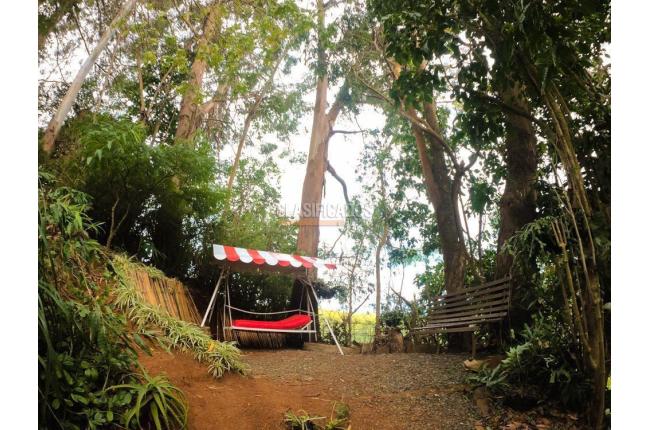 Fincas y Casas Campestres, Venta, Saladito - $620.000.000