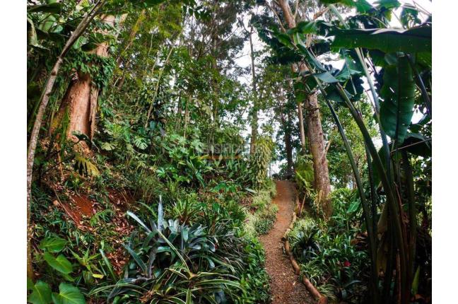 Fincas y Casas Campestres, Venta, Saladito - $620.000.000