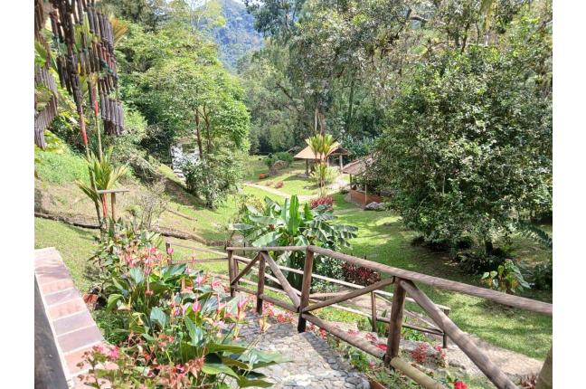 Fincas y Casas Campestres, Alquiler en Pance