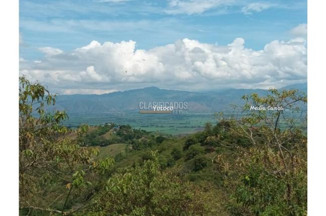 Fincas y Casas Campestres, Venta en Guacarí