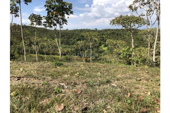 Lotes, Venta, Pance - $850.000.000