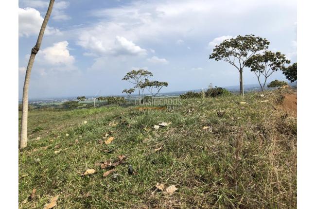 Lotes, Venta, Pance - $850.000.000