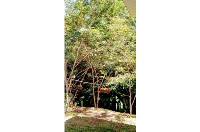 Casas, Venta, Dagua - $475.000.000