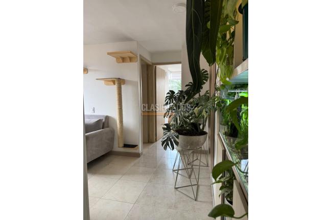 Apartamentos, Venta, Palmeras del Norte - $450.000.000