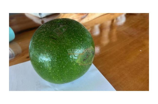 Fincas y Casas Campestres, Venta, Dagua - $480.000.000