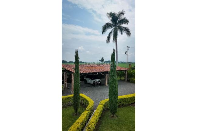Fincas y Casas Campestres, Venta, Palmira - $3.600.000.000