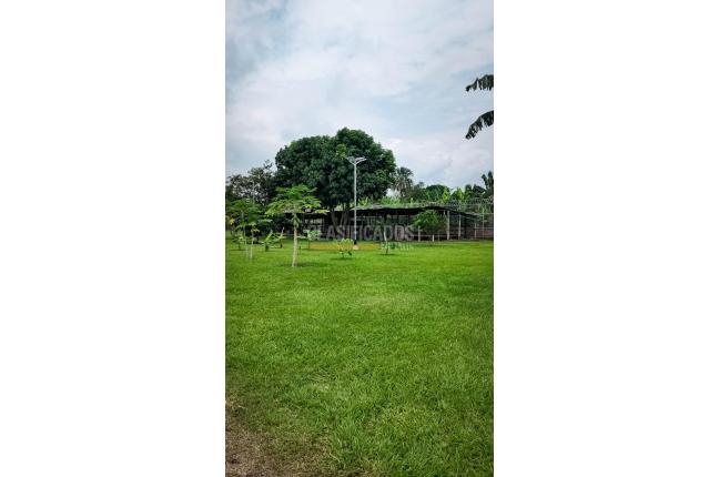 Fincas y Casas Campestres, Venta, Palmira - $3.600.000.000