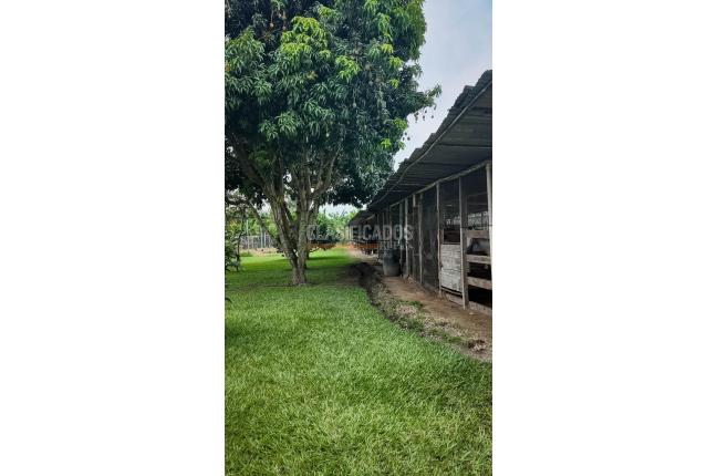 Fincas y Casas Campestres, Venta, Palmira - $3.600.000.000