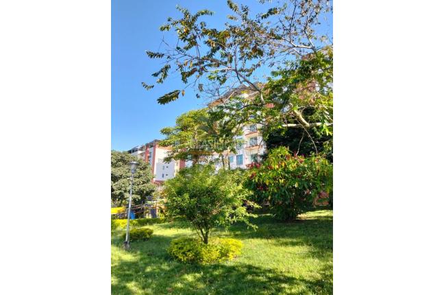 Apartaestudios, Venta, Pereira - $195.000.000