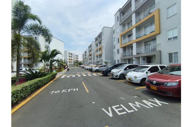 Apartamentos, Alquiler en Ciudad Pacifica