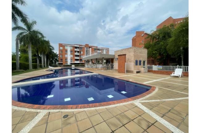 Apartamentos, Alquiler en Ciudad Jardín