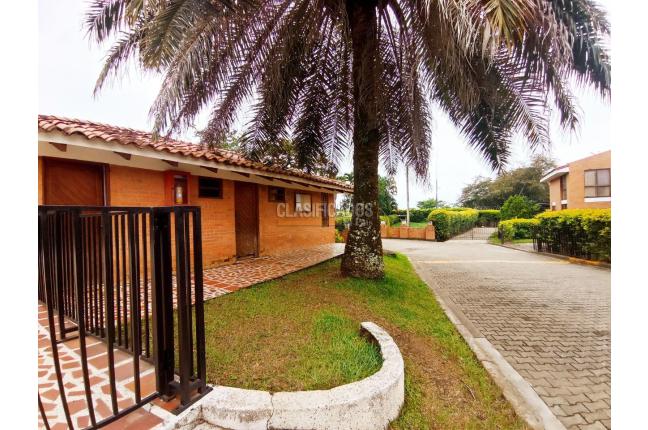 Casas, Alquiler en Pance