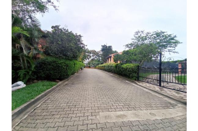 Casas, Alquiler en Pance