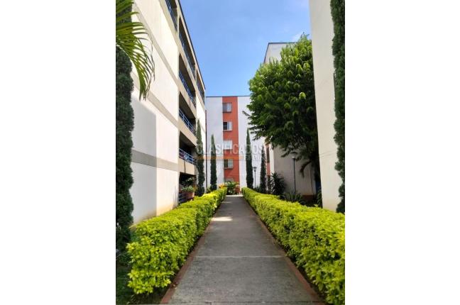 Apartamentos, Venta, Álamos - $240.000.000