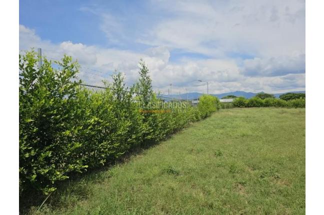 Lotes, Venta en Palmira