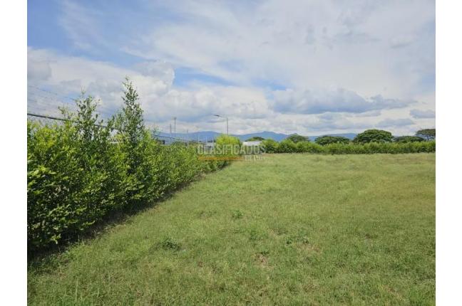 Lotes, Venta, Palmira - $1.152.000.000