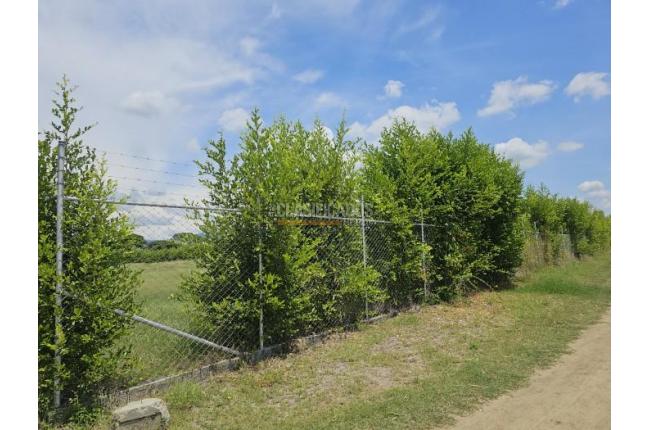 Lotes, Venta, Palmira - $1.152.000.000