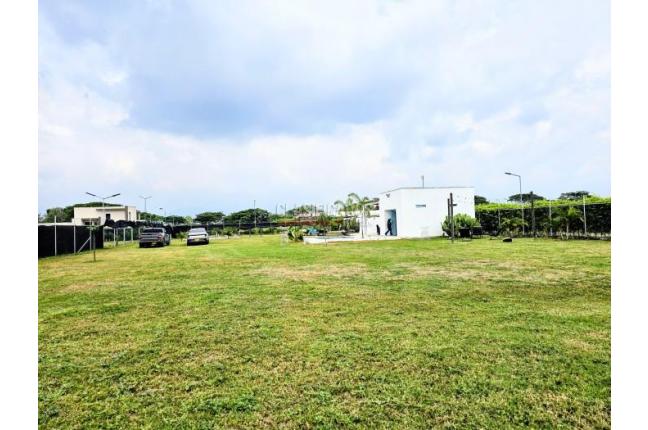 Lotes, Venta en Palmira