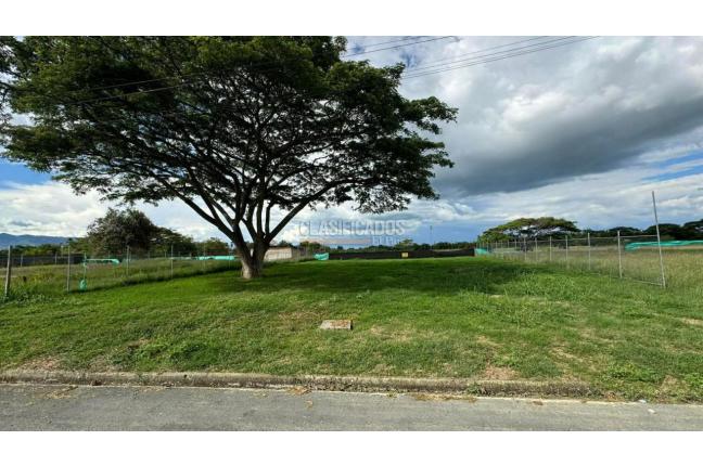 Lotes, Venta en Palmira