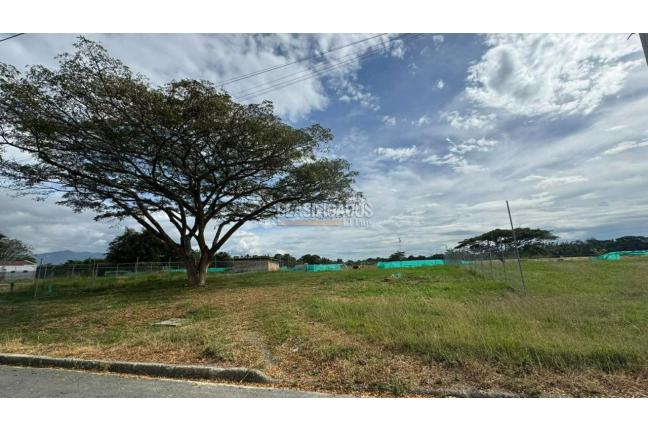 Lotes, Venta en Palmira