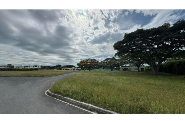 Lotes, Venta, Palmira - $290.000.000