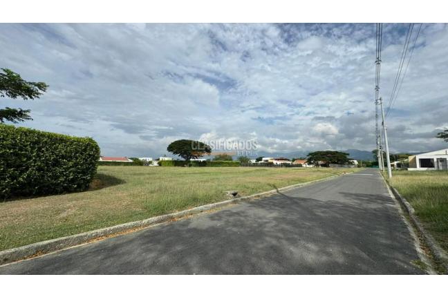 Lotes, Venta, Palmira - $290.000.000