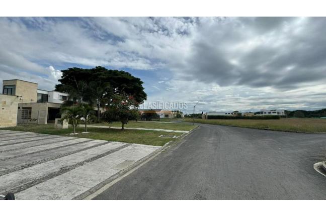 Lotes, Venta, Palmira - $290.000.000