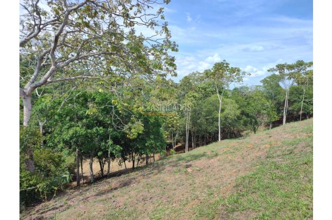 Lotes, Venta, Pance - $1.400.000.000