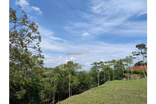 Lotes, Venta, Pance - $1.400.000.000