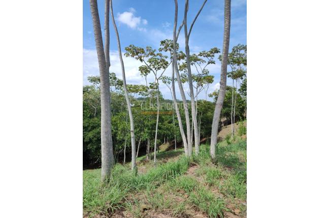 Lotes, Venta, Pance - $1.400.000.000