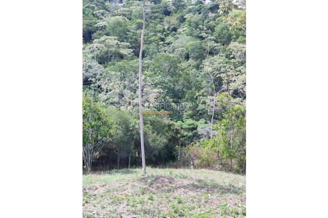 Lotes, Venta, Pance - $1.400.000.000