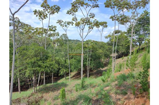 Lotes, Venta, Pance - $1.400.000.000