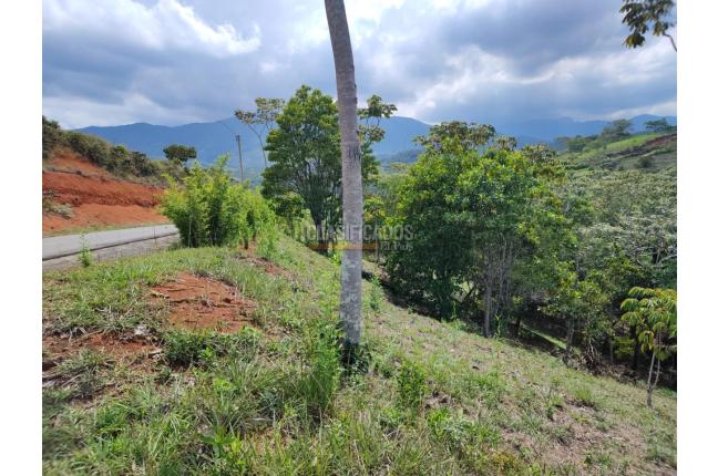 Lotes, Venta, Pance - $1.400.000.000