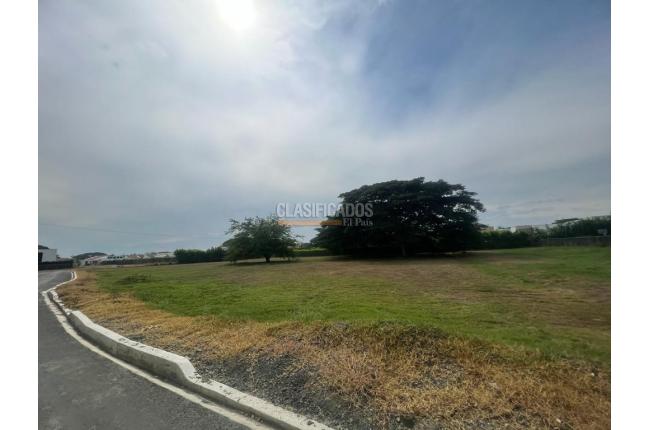 Lotes, Venta en Palmira