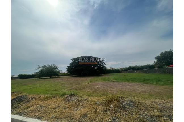 Lotes, Venta, Palmira - $335.000.000