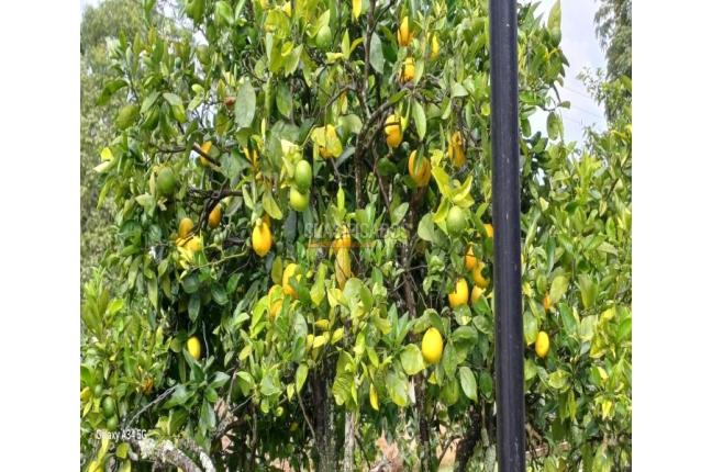 Casas, Venta, Yumbo - $2.900.000.000