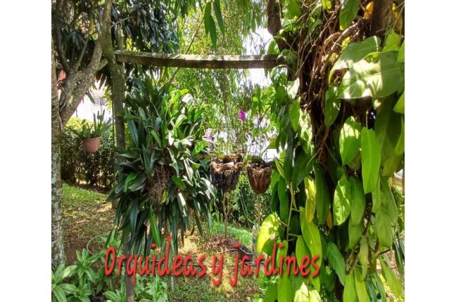 Casas, Venta, Bella Suiza - $1.100.000.000