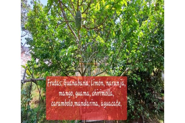 Casas, Venta, Bella Suiza - $1.100.000.000