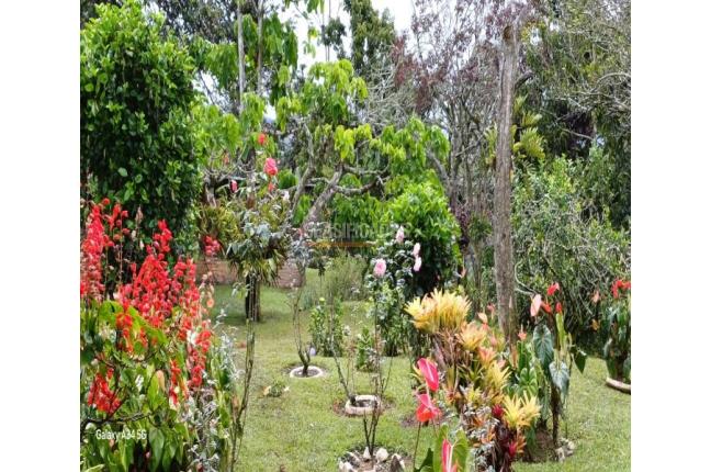 Casas, Venta, La Cumbre - $382.000.000