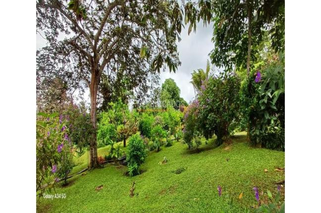 Casas, Venta, La Cumbre - $382.000.000