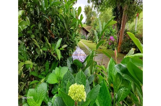 Casas, Venta, La Cumbre - $382.000.000