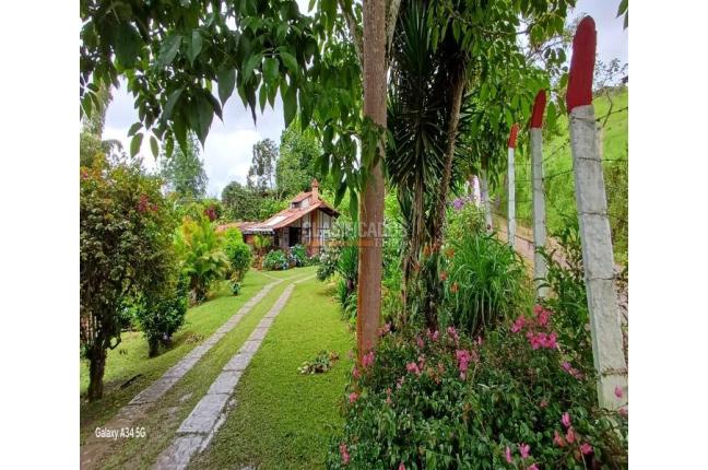 Casas, Venta, La Cumbre - $382.000.000